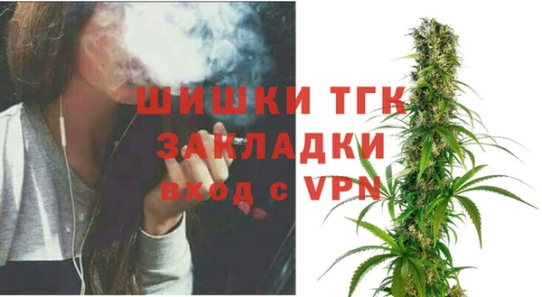 дмт Горно-Алтайск